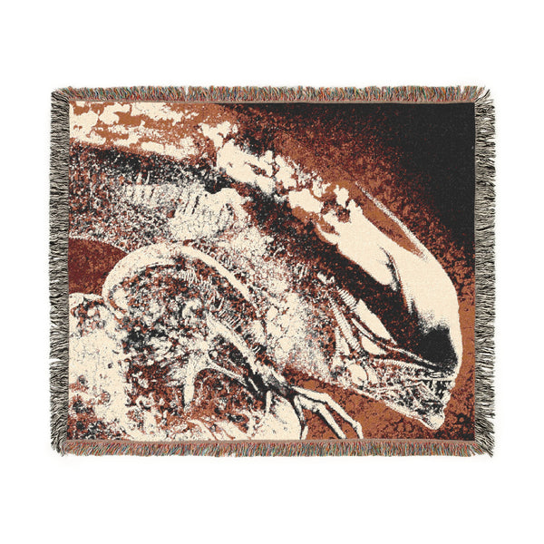 11367602903928519539_2048_600x