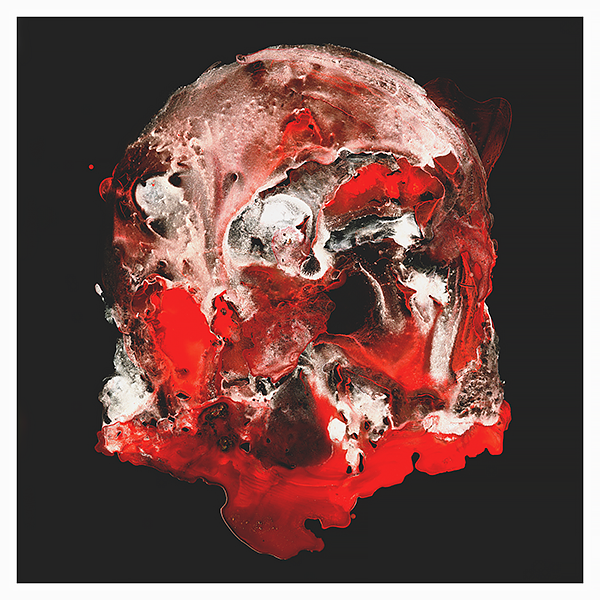 J. Bannon "Skull Study 1" Giclee Print